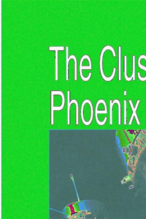 Cluster and Phoenix Missions (e-bog) af -