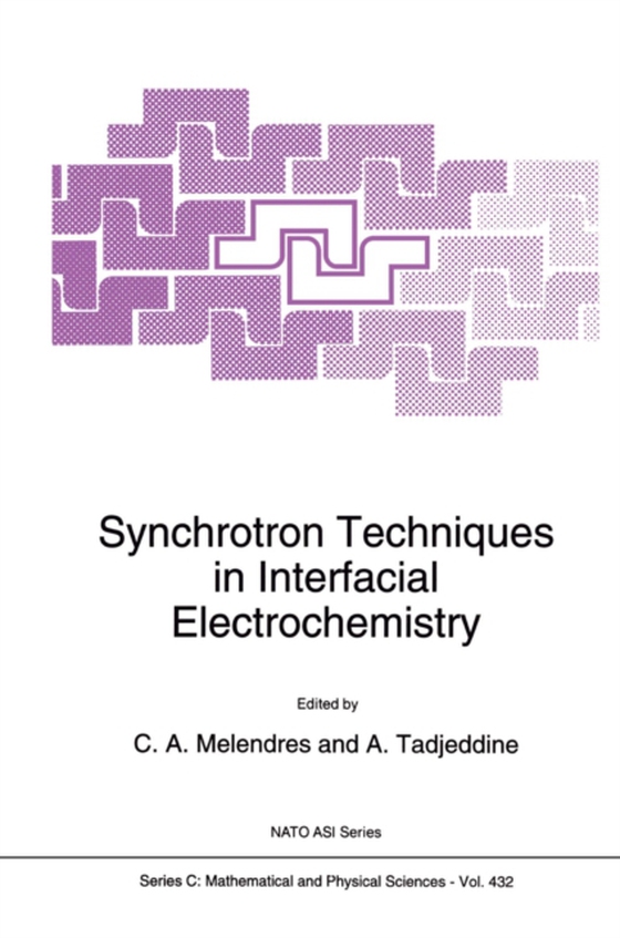 Synchrotron Techniques in Interfacial Electrochemistry (e-bog) af -