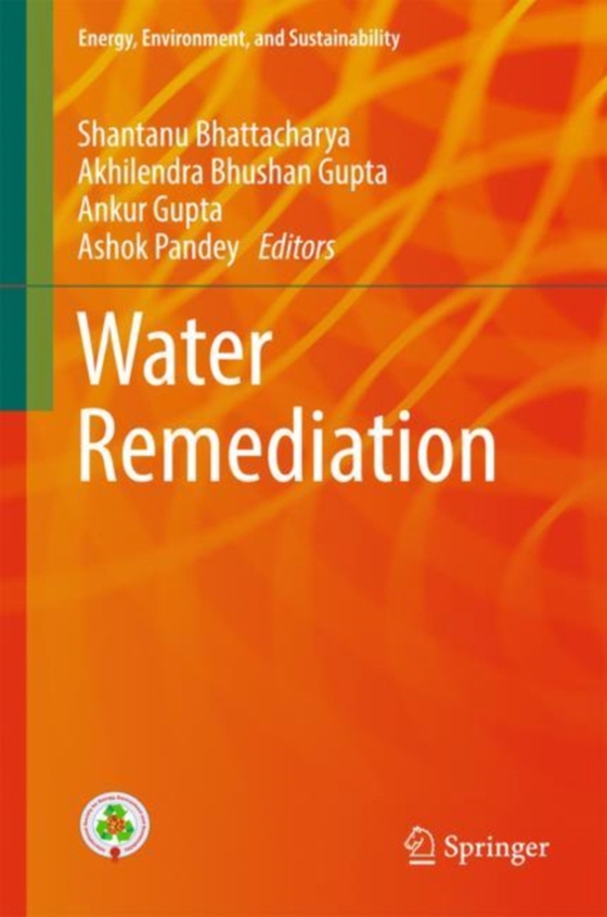 Water Remediation (e-bog) af -