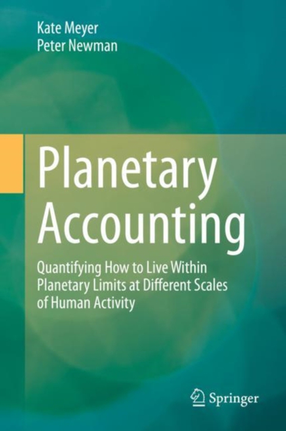 Planetary Accounting (e-bog) af Newman, Peter