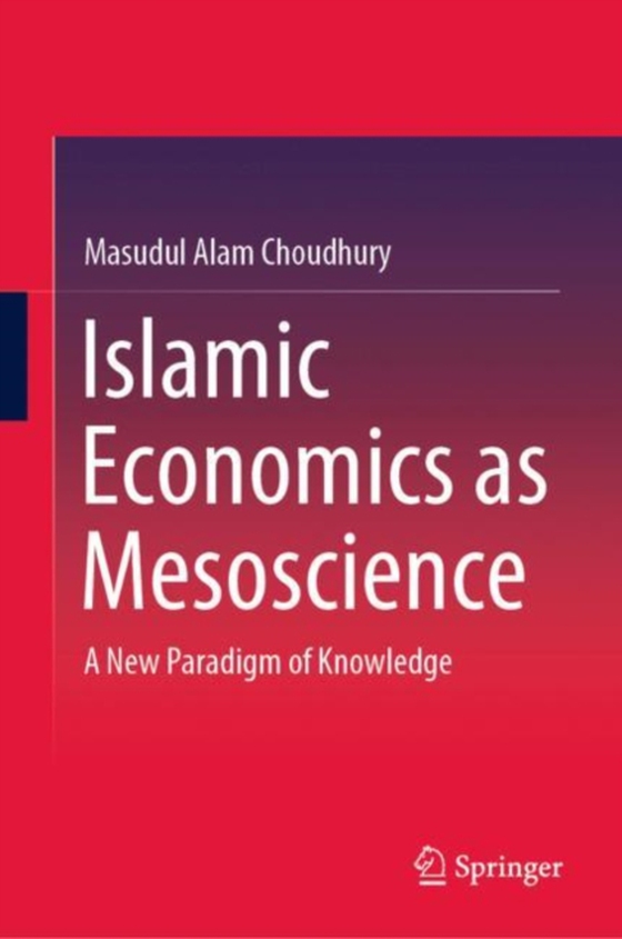 Islamic Economics as Mesoscience