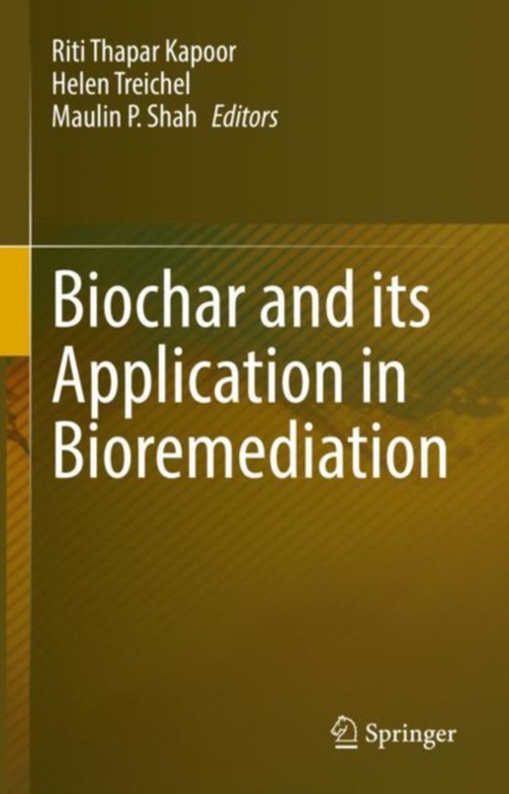 Biochar and its Application in Bioremediation (e-bog) af -