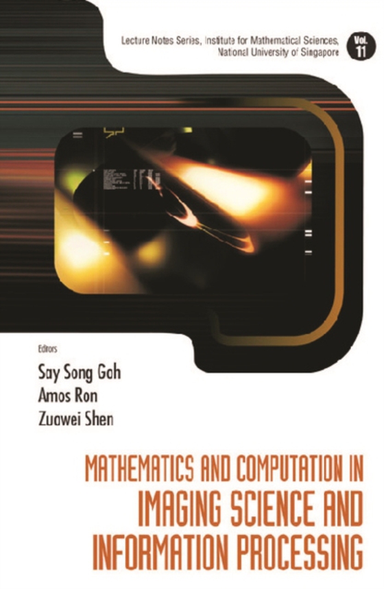 Mathematics And Computation In Imaging Science And Information Processing (e-bog) af Say Song Goh, Goh