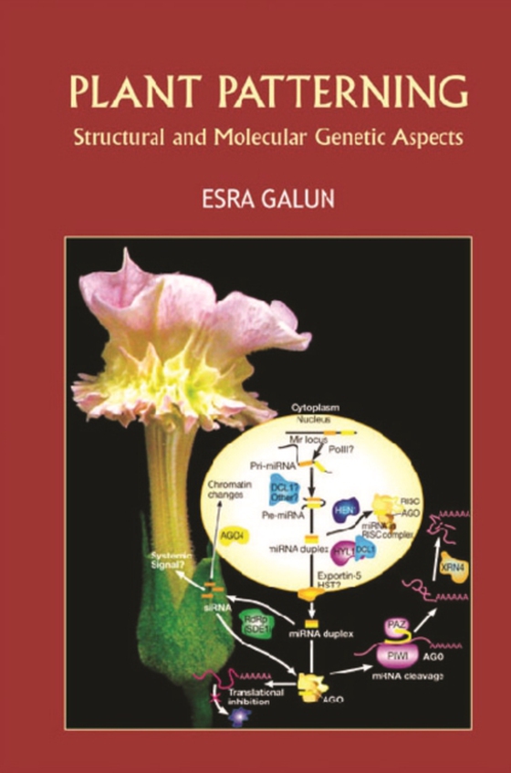 Plant Patterning: Structural And Molecular Genetic Aspects (e-bog) af Esra Galun, Galun