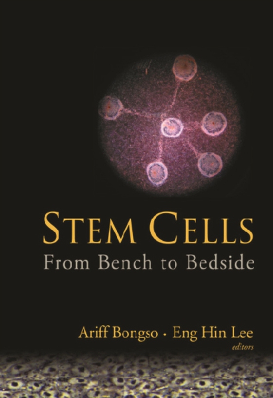 Stem Cells: From Bench To Bedside (e-bog) af -