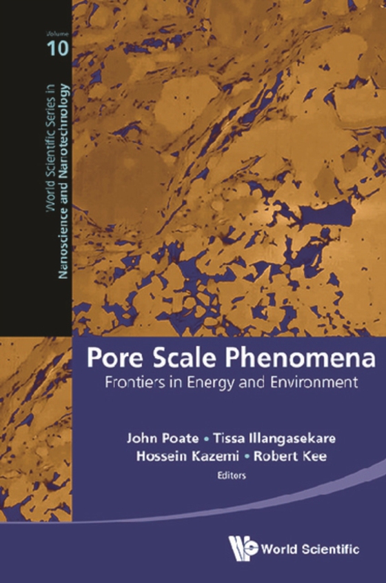 Pore Scale Phenomena: Frontiers In Energy And Environment