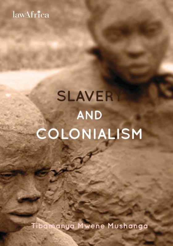 Slavery and Colonialism (e-bog) af Mushanga, Mwene