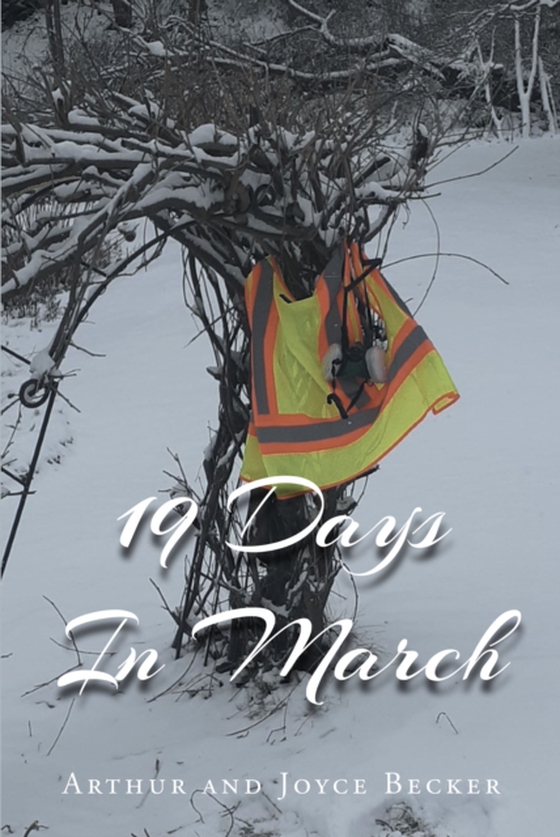 19 Days In March