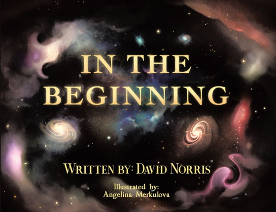 In The Beginning (e-bog) af Norris, David