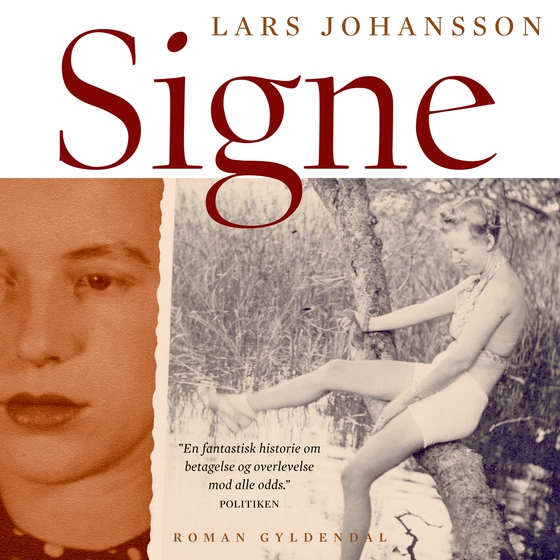 Signe (lydbog) af Lars Johansson