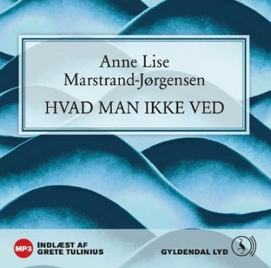 Hvad man ikke ved (lydbog) af Anne Lise Marstrand-Jørgensen