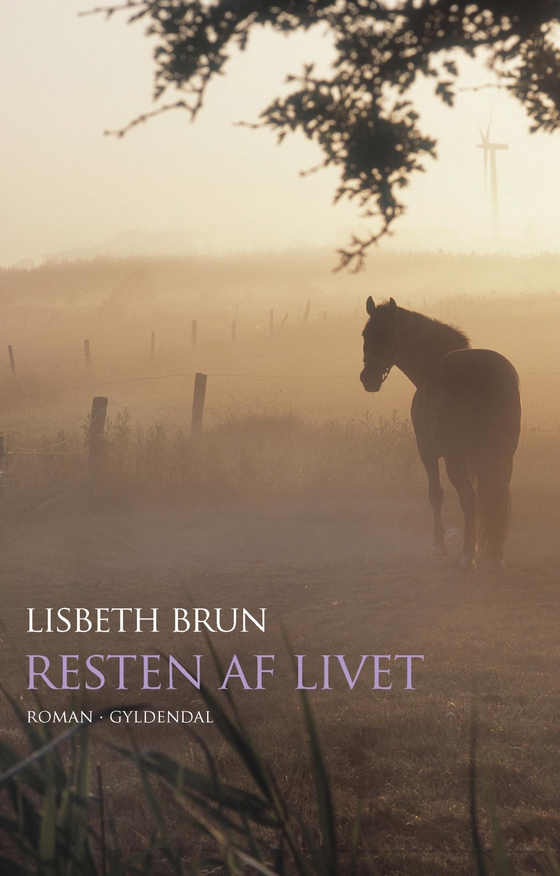 Resten af livet (e-bog) af Lisbeth Brun