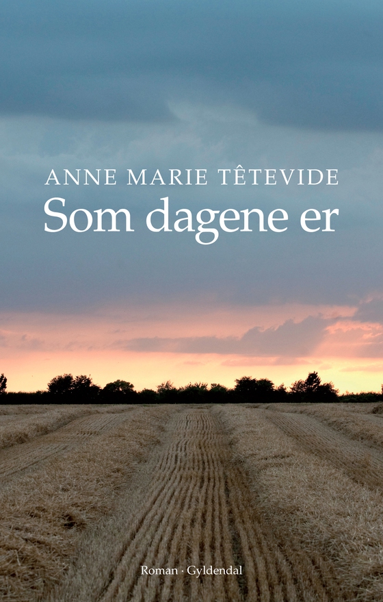Som dagene er (lydbog) af Anne Marie Têtevide