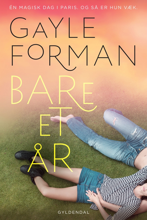 Bare et år (e-bog) af Gayle Forman