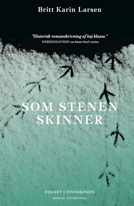 Som stenen skinner (e-bog) af Britt Karin Larsen