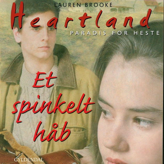 Et spinkelt håb (lydbog) af Lauren Brooke