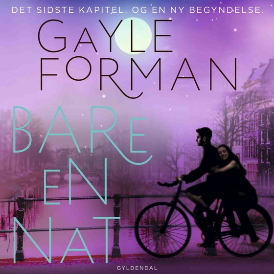 Bare en nat (lydbog) af Gayle Forman