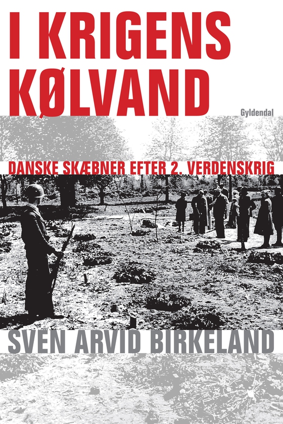I krigens kølvand - Danske skæbner efter 2. verdenskrig (e-bog) af Sven Arvid Birkeland