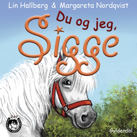 RAP-klubben 13 - Du og jeg, Sigge (lydbog) af Lin Hallberg