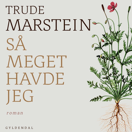 Så meget havde jeg (lydbog) af Trude Marstein