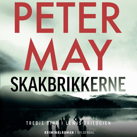 Skakbrikkerne (lydbog) af Peter May