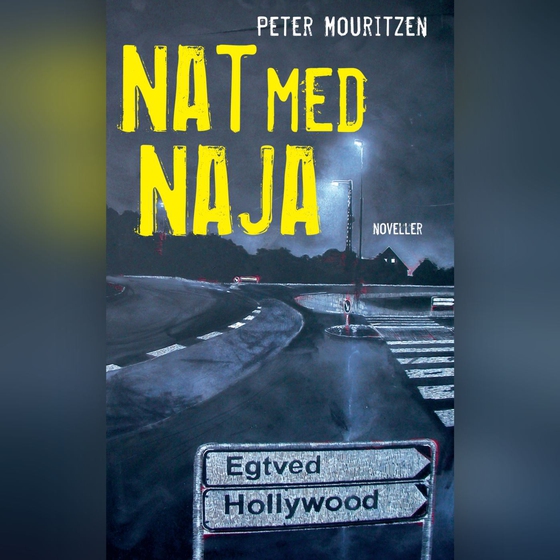 Nat med Naja - Noveller (lydbog) af Peter Mouritzen