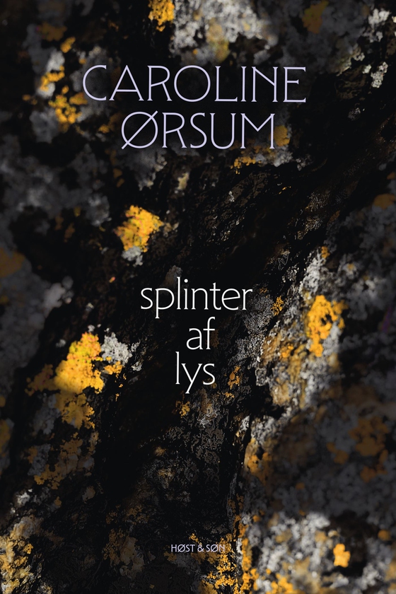 splinter af lys (e-bog) af Caroline Ørsum