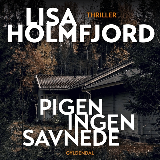 Pigen ingen savnede (lydbog) af Lisa Holmfjord