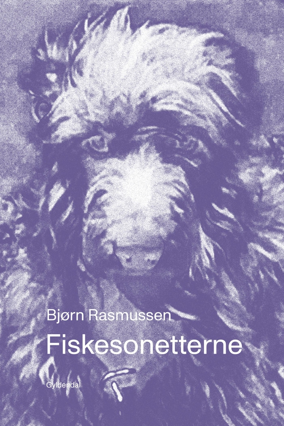 Fiskesonetterne (e-bog) af Bjørn Rasmussen