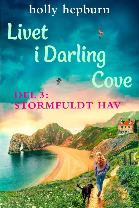 Livet i Darling Cove 3: Stormfuldt hav (e-bog) af Holly Hepburn