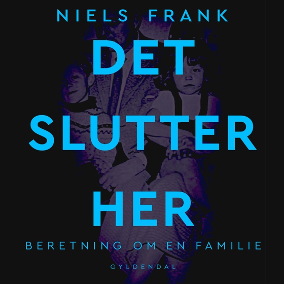 Det slutter her (lydbog) af Niels Frank