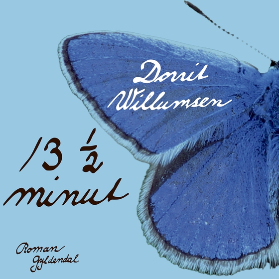 13 ½ minut (lydbog) af Dorrit Willumsen