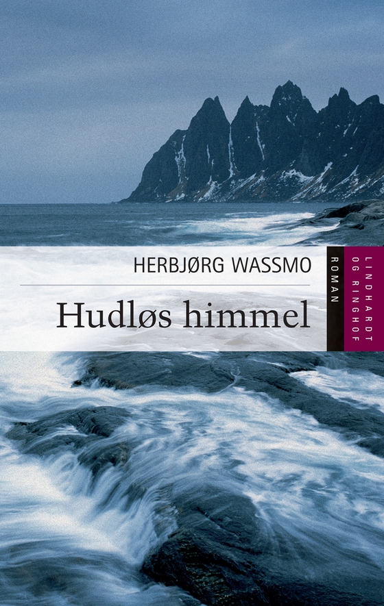 Hudløs himmel