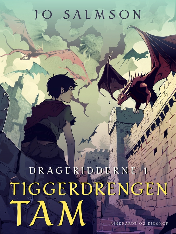 Drageridderne 1: Tiggerdrengen Tam