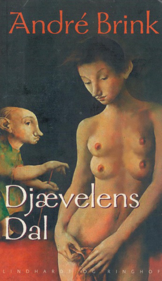 Djævelens dal (lydbog) af André Brink