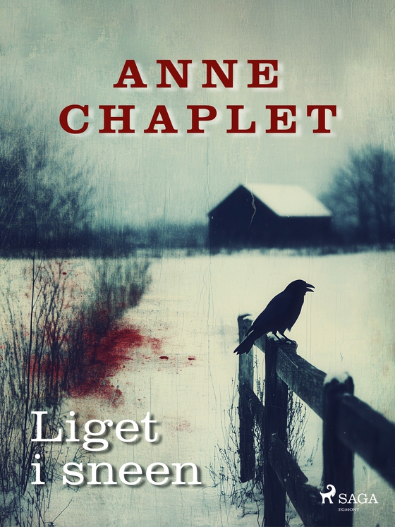 Liget i sneen (e-bog) af Anne Chaplet