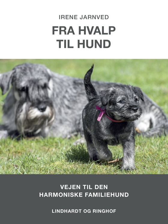 Fra hvalp til hund