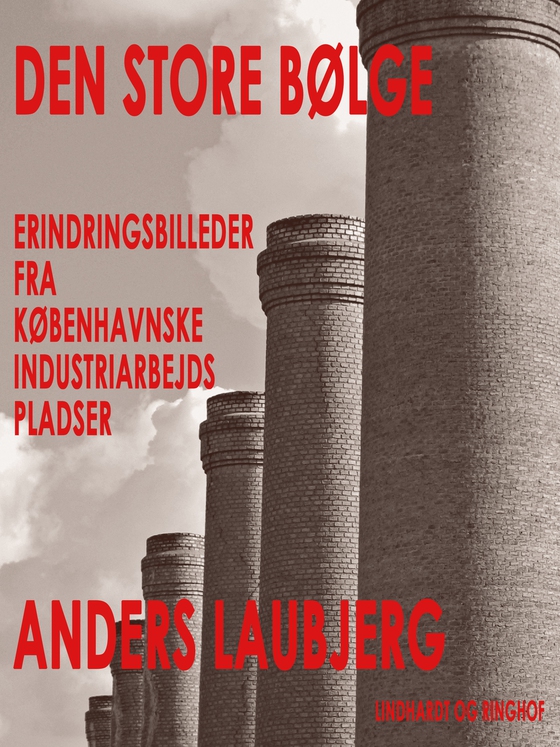 Den store bølge (e-bog) af Anders Laubjerg