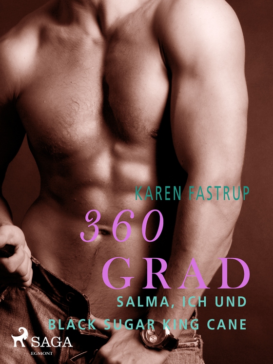 360 Grad - Salma, ich und Black Sugar King Cane (e-bog) af Karen Fastrup