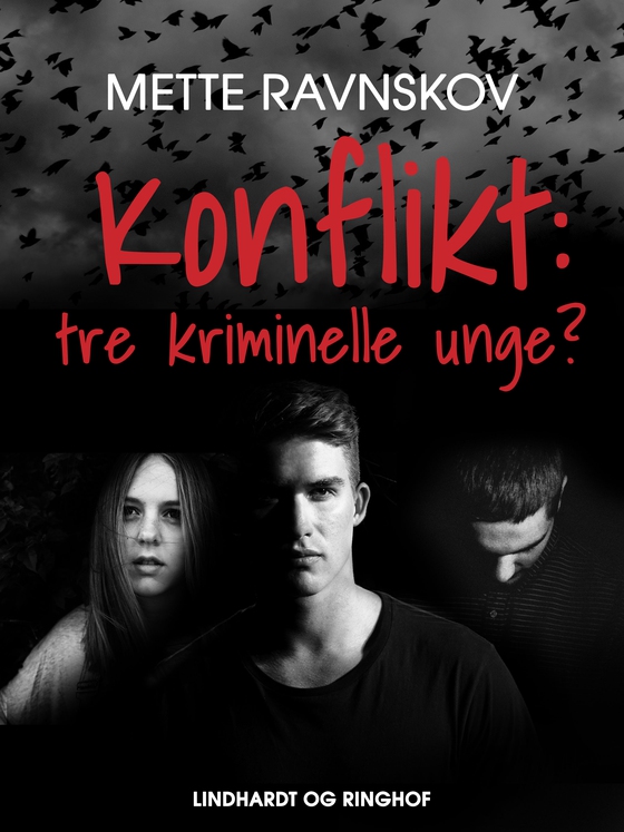 Konflikt. Tre kriminelle unge?