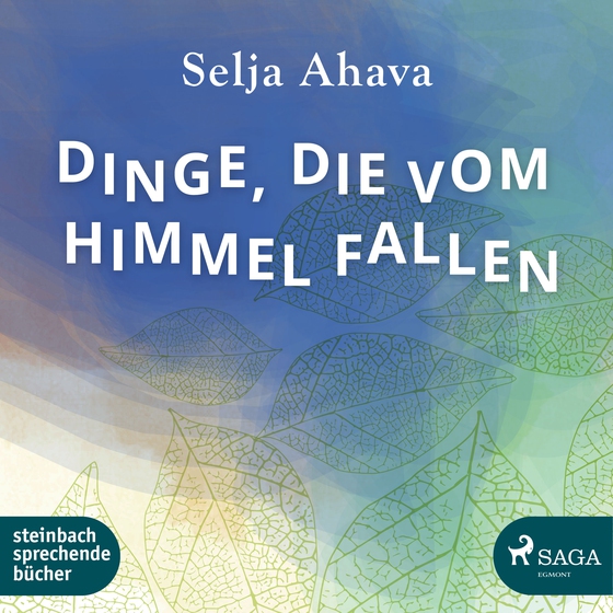 Dinge, die vom Himmel fallen