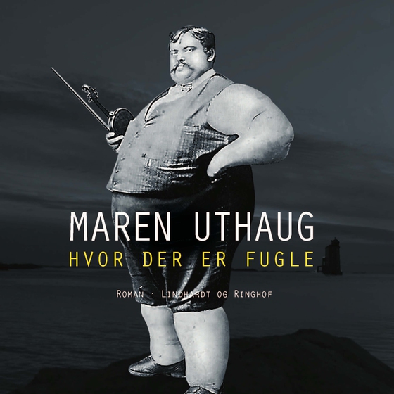 Hvor der er fugle (lydbog) af Maren Uthaug