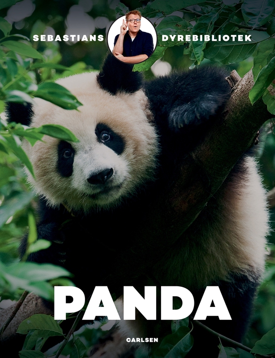 Sebastians dyrebibliotek: Panda