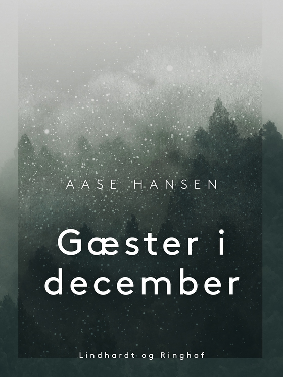 Gæster i december (e-bog) af Aase Hansen