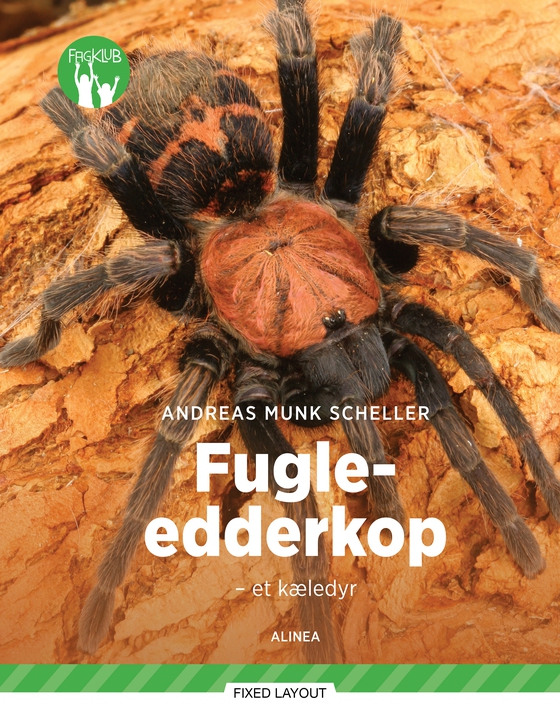 Fugle-edderkop - et kæledyr, Grøn Fagklub (e-bog) af Andreas Munk Scheller