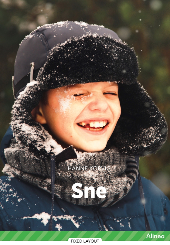 Sne, Grøn Fagklub (e-bog) af Hanne Korvig