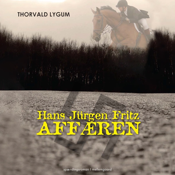 Hans Jürgen Fritz-affæren