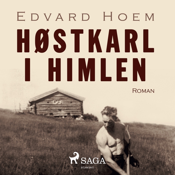 Høstkarl i himlen (lydbog) af Edvard Hoem
