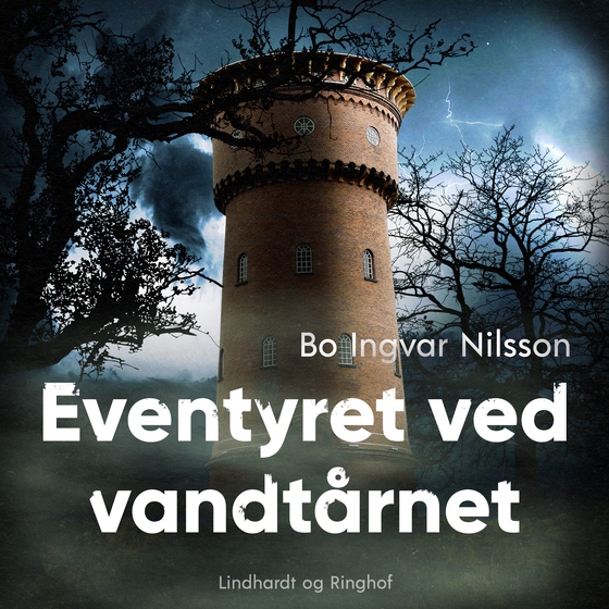 Eventyret ved vandtårnet (lydbog) af Bo Ingvar Nilsson