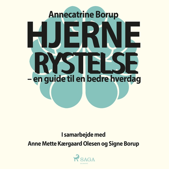 Hjernerystelse - En guide til en bedre hverdag